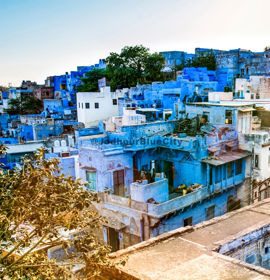 Why jodhpur is known as Blue city